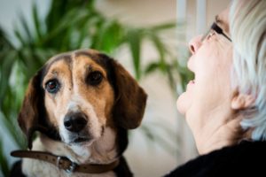 Artikel Huijg foto 1