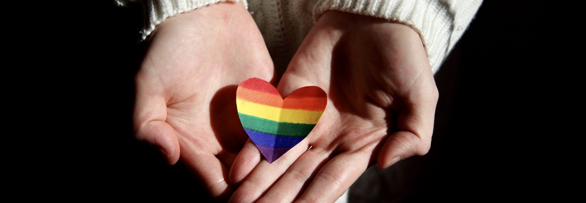 Performis Geron covers 2019_compressed